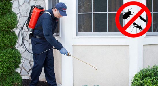 Mengen Gümüşkurt İlaçlama böcek ilaçlama ve haşere kontrolü — ilaclama-tr.com